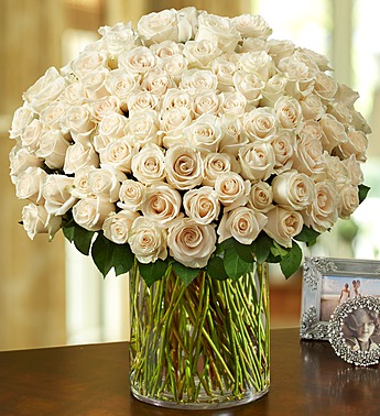 100 Premium Long Stem White Roses in a Vase