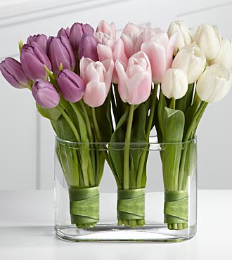 Dream's Journey Tulip Bouquet