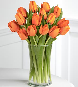Bright Beauty Tulip Bouquet