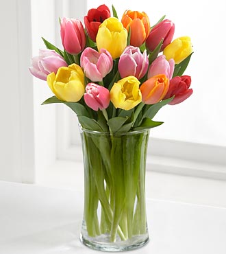 Rush of Color Assorted Tulip Bouquet with FREE Vase